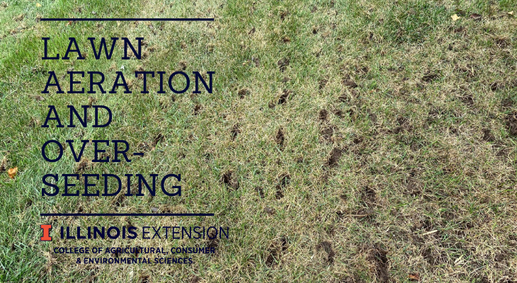 Aerating your lawn in deals the fall